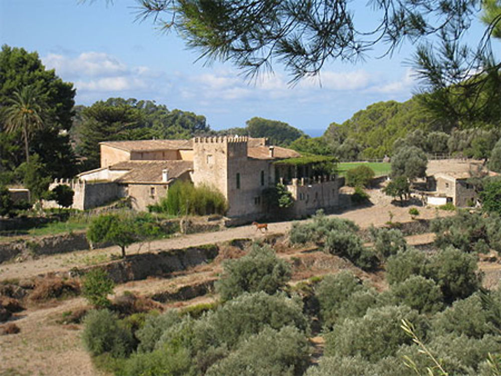 Finca à Estellencs