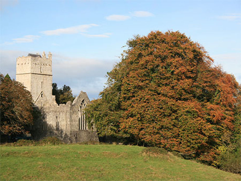 Abbaye de Muckross