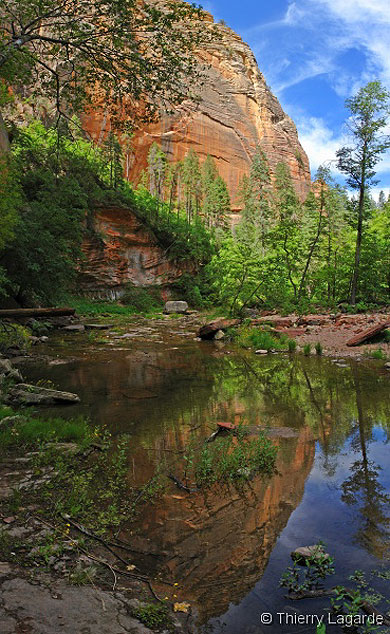 West fork of oak creek West fork of oak creek