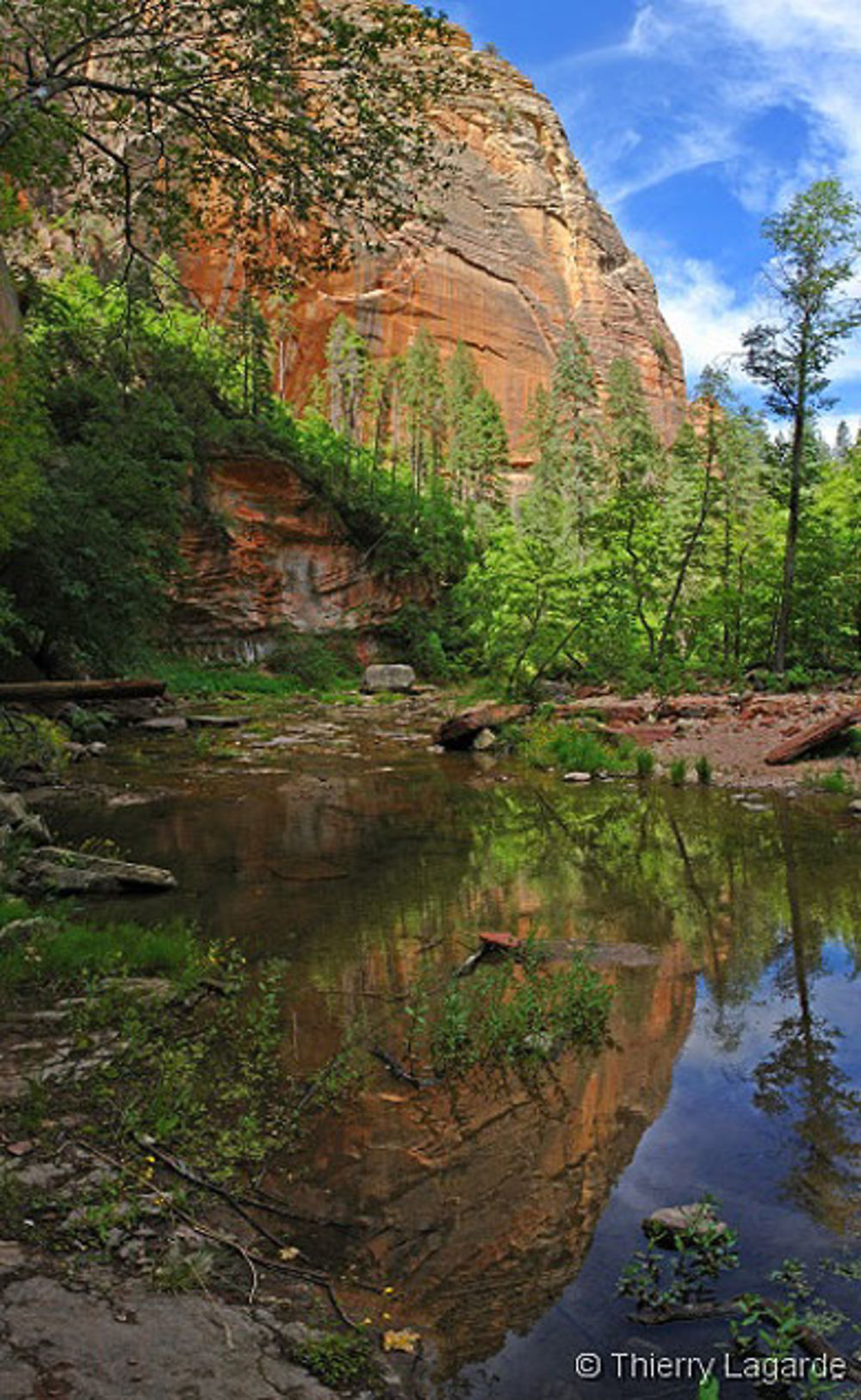 West fork of oak creek