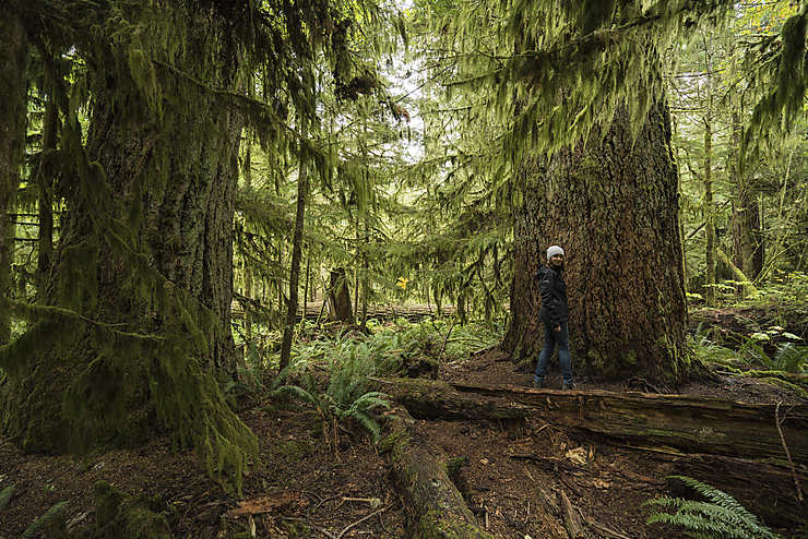 Colombie-Britannique : Into the Wild sur l’île de Vancouver