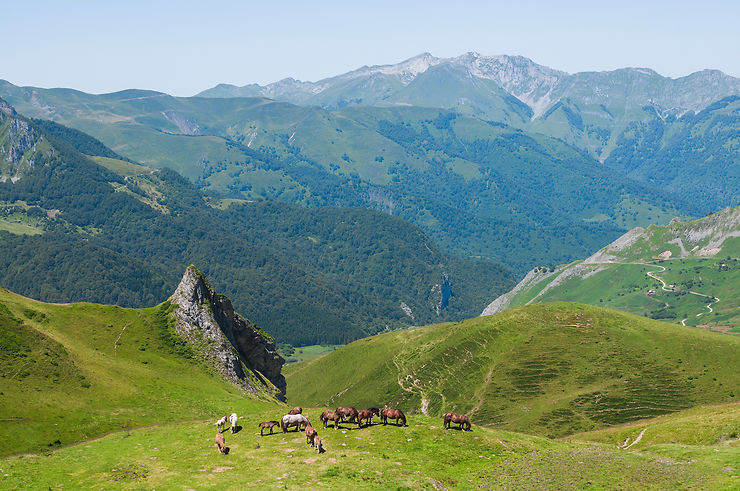 Crête du Soulor (Hautes-Pyrénées)