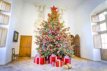 Noël aux châteaux en Val de Loire 