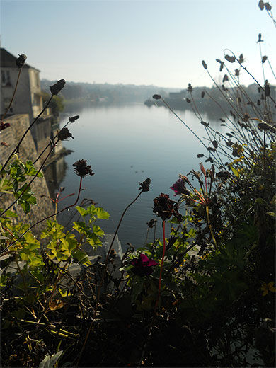 Le charme de la Seine à Corbeil