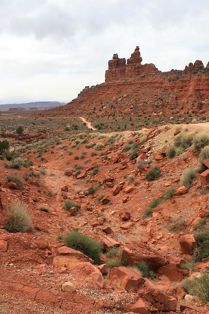 Valley of the Gods road, en Utah