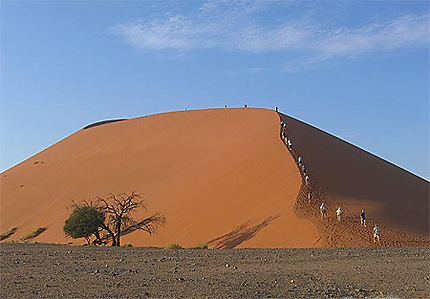 La dune 45