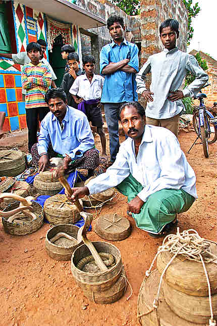 Chercheurs de serpents en Orissa (Inde)