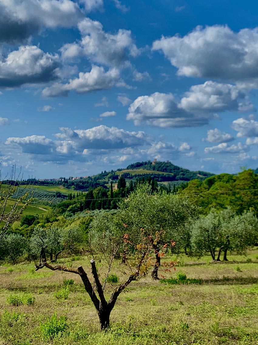 Chianti Chianti