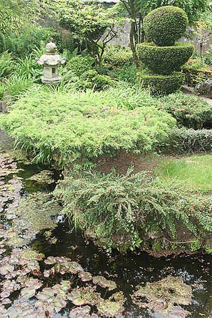 Jardin japonais en Irlande