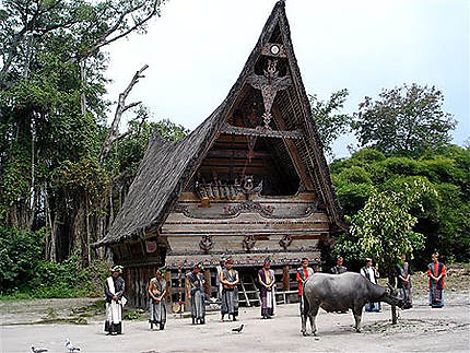 Maison De Batak Toba
