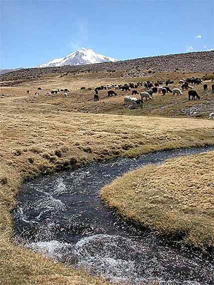 L'altiplano Andin du Chili