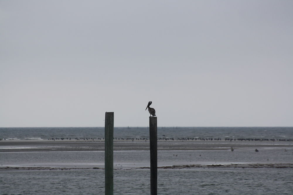 Delaware