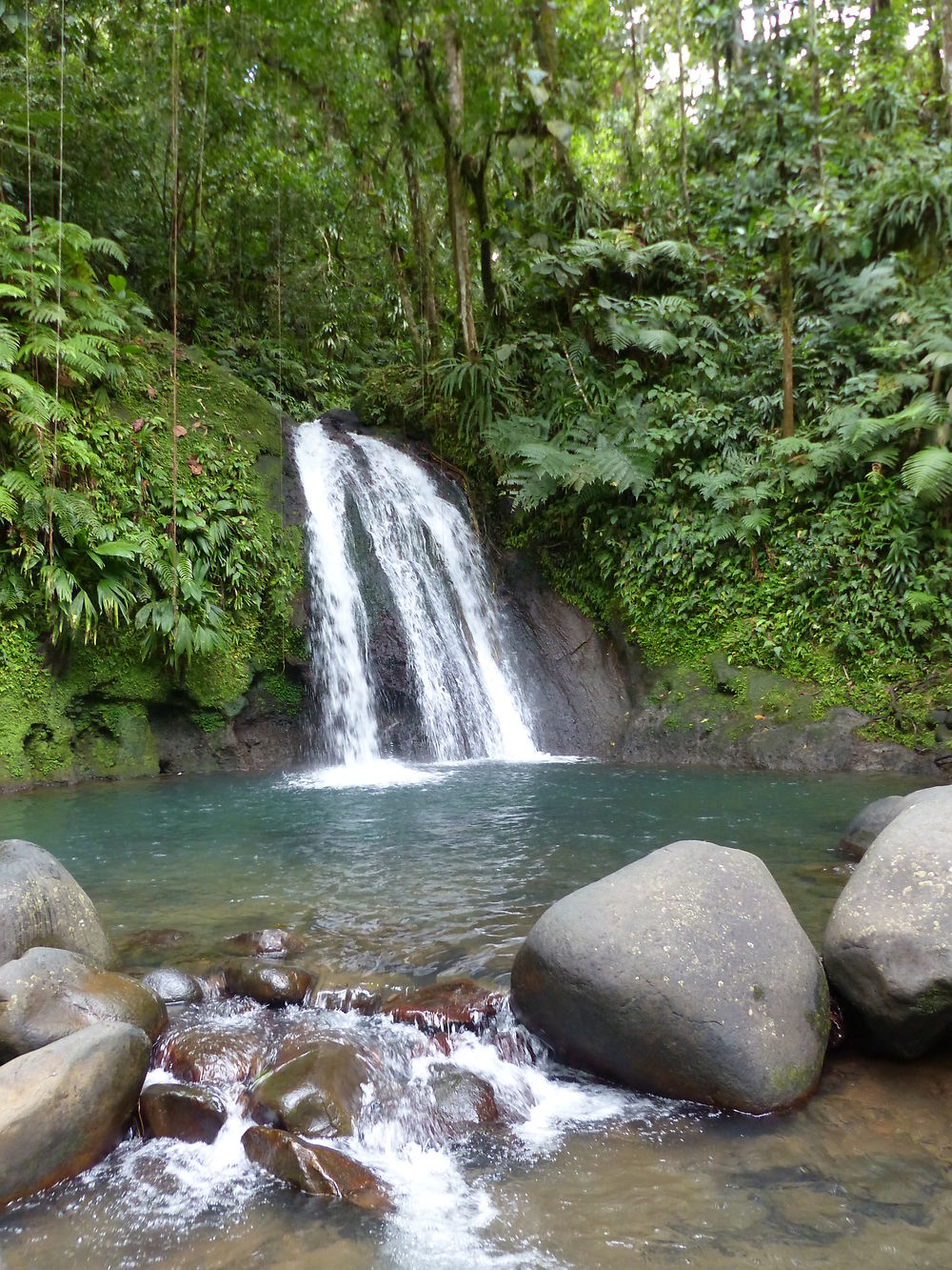 Cascades aux écrevisses