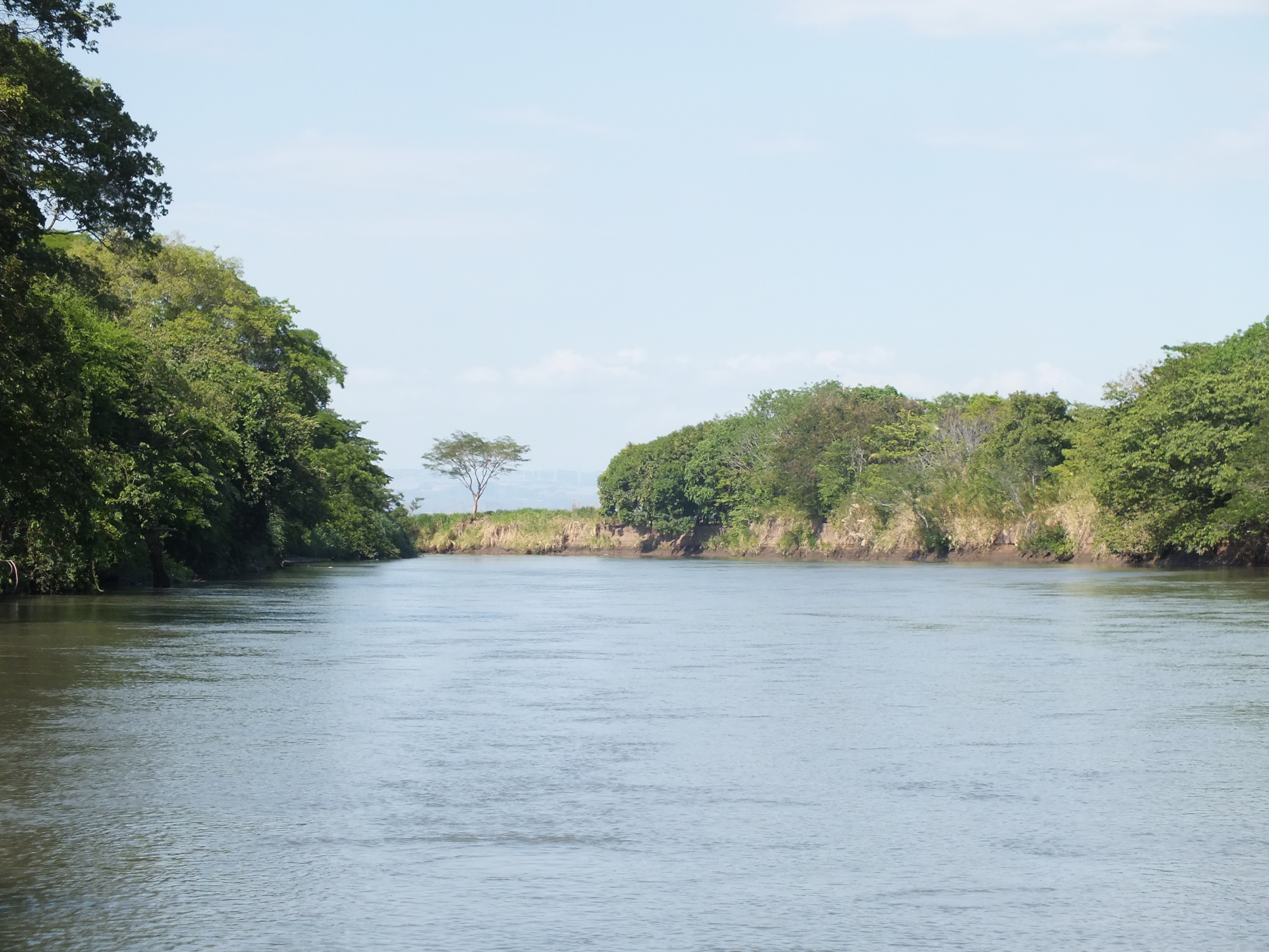Rivière Sierpe Rivière Sierpe
