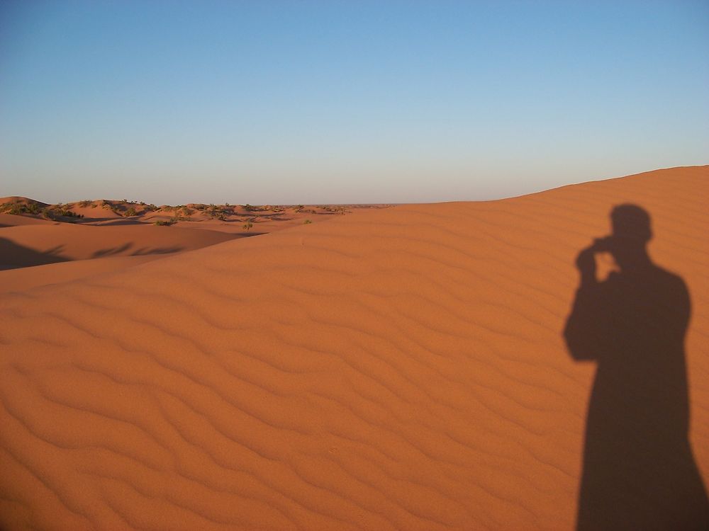 Ombres dans le sable