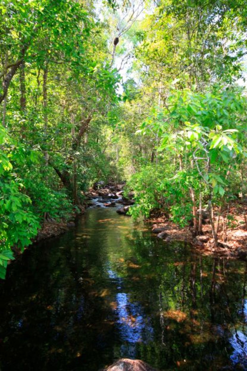 Litchfield National Park