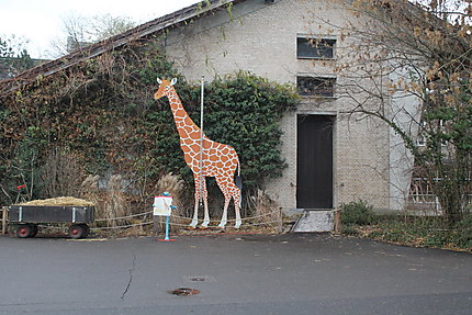 La maison des girafes