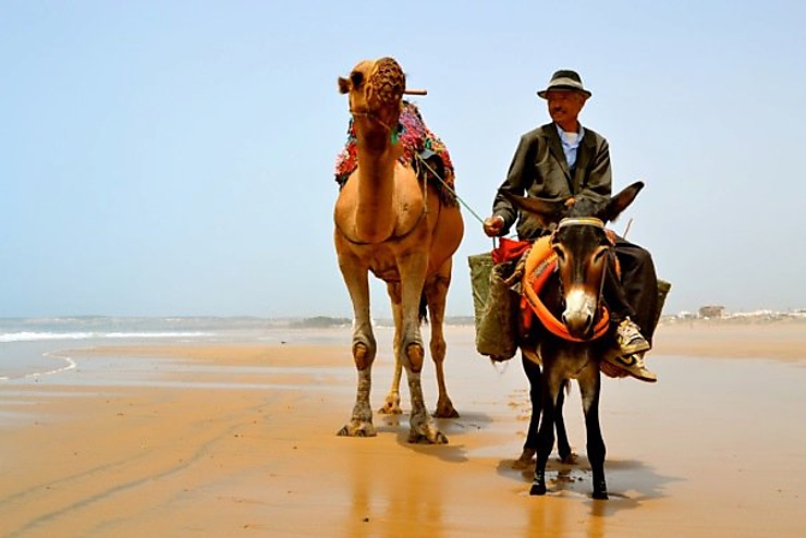 Balade sur la plage d’Essaouira, Maroc