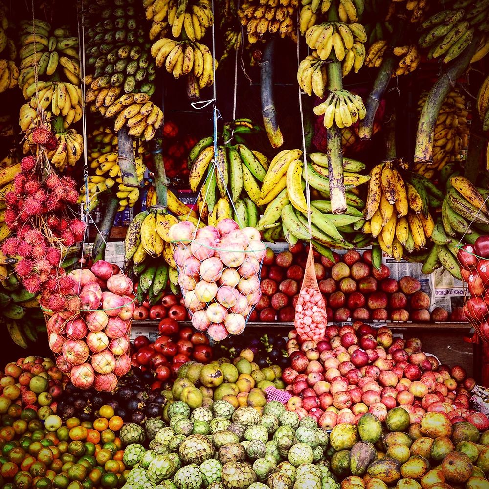 Des fruits en abondance