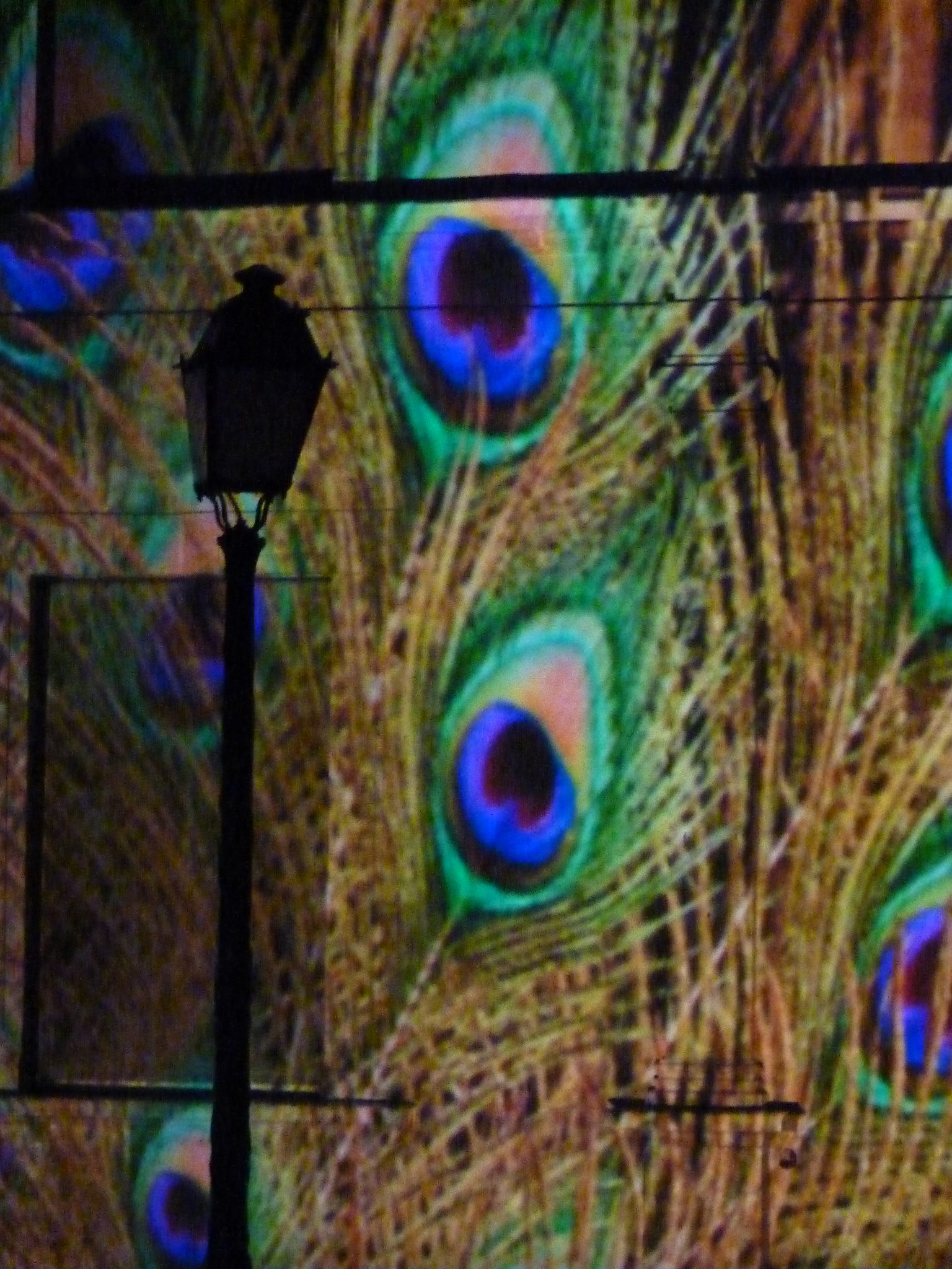 Sons et Lumières au Mans Sons et Lumières au Mans