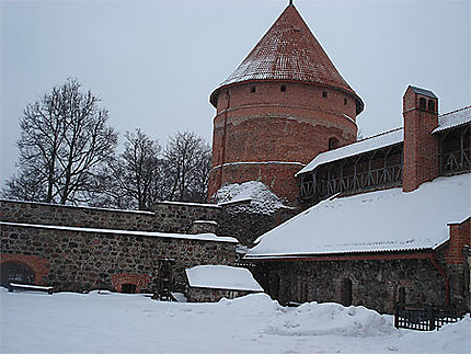 Le château de Trakai 