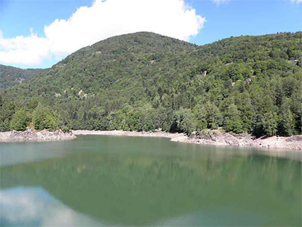 Lac du barrage Alfeld