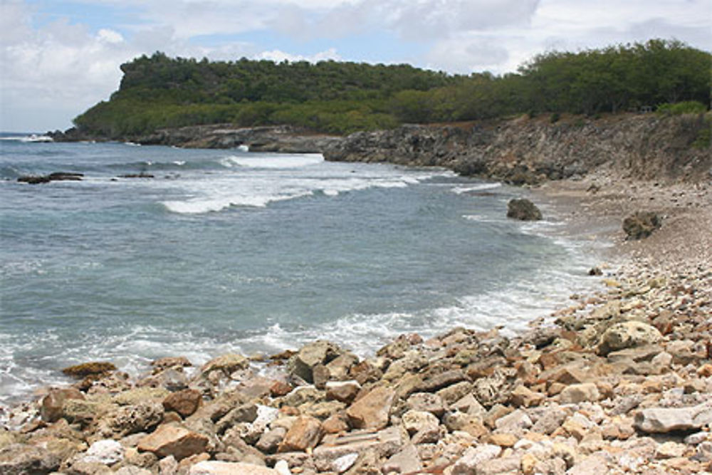 Anse des Galets (La Désirade)