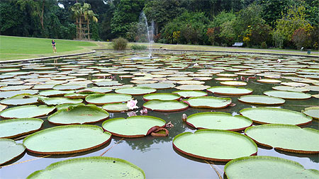 Parc Parc