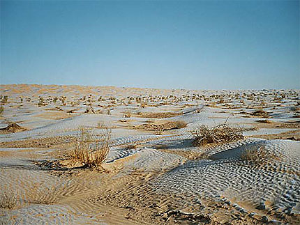 Un drap blanc sur le désert !