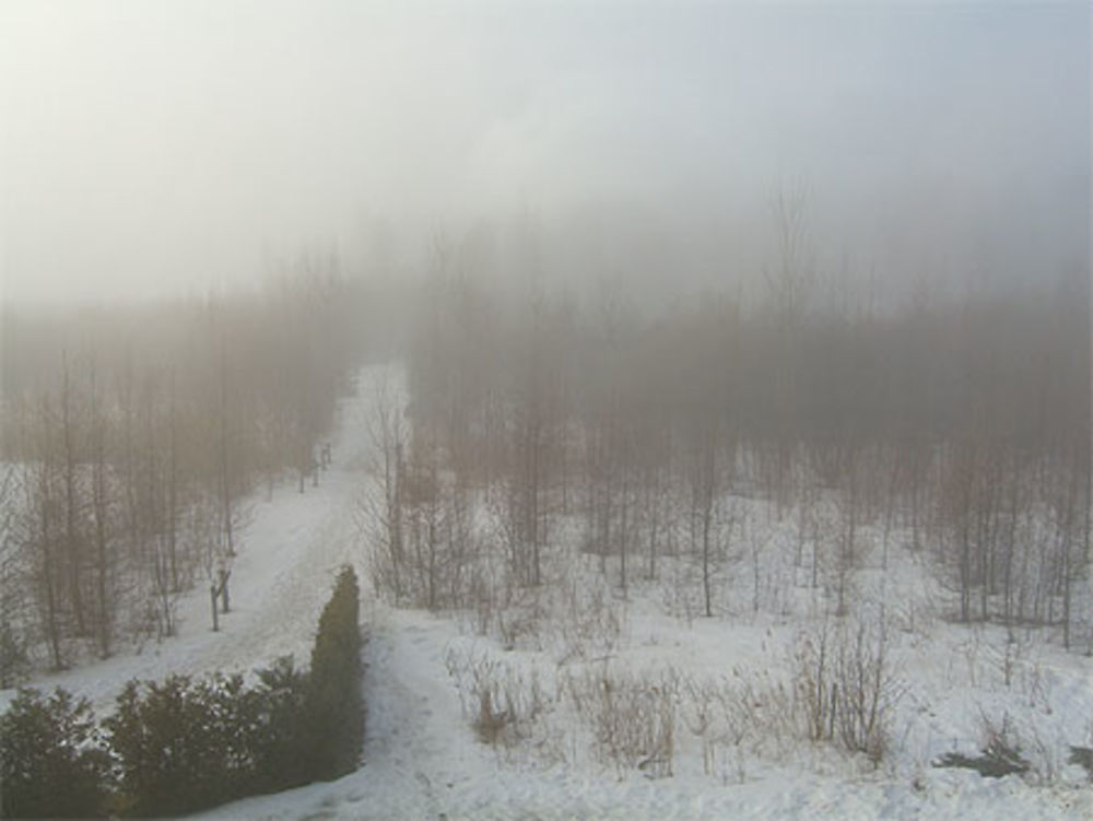 Brume québécoise