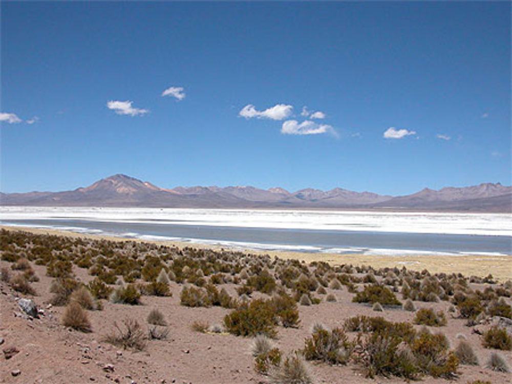 Salar de Surire