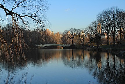 Paysage unique de Central Park