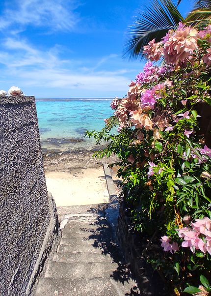 Tahiti, l'allée de ma maison qui mène à la plage