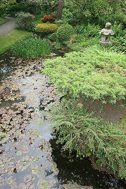Beau jardin japonais