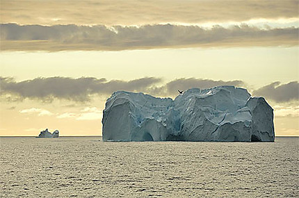 Iceberg monumental