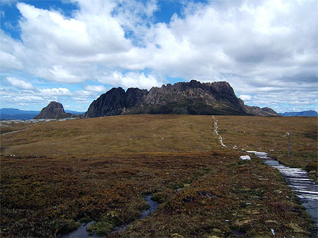 Sur la piste de l'Overland Track Sur la piste de l'Overland Track