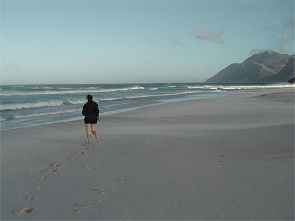 Plage à Noordhoek