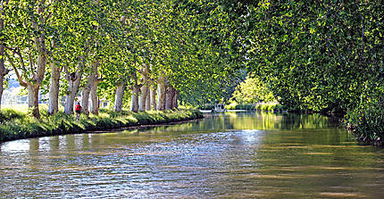 Sur le Canal du Midi, dans l’Hérault