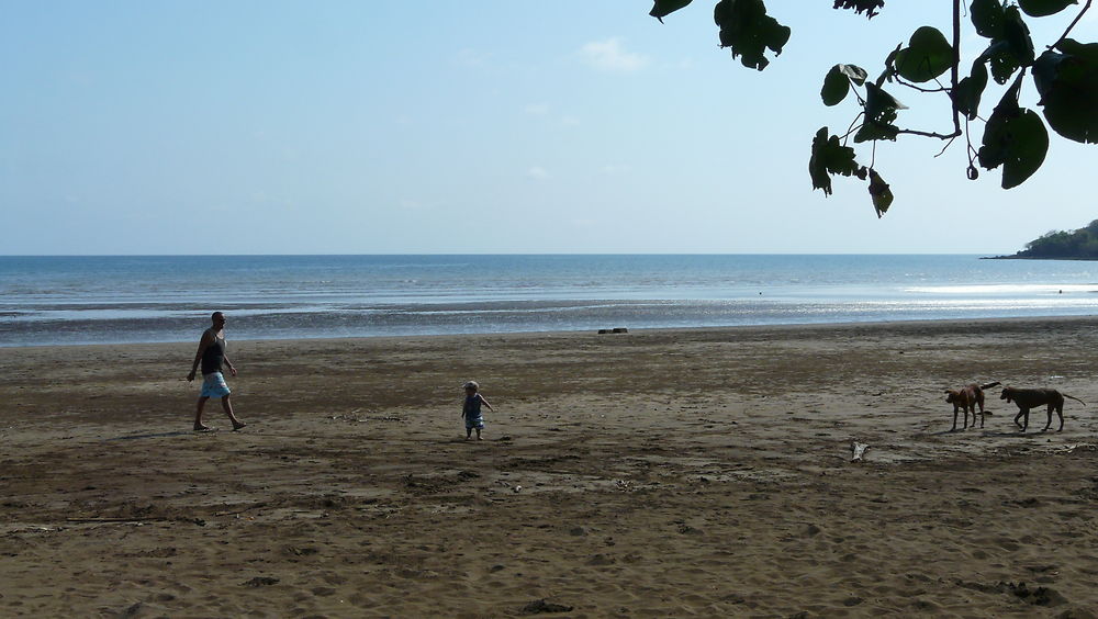 Plage des 3 baobabs