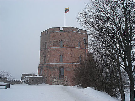 Le Château de Gediminas
