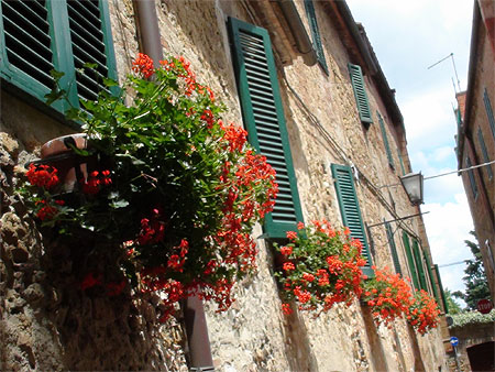 Ruelle de Pienza Ruelle de Pienza