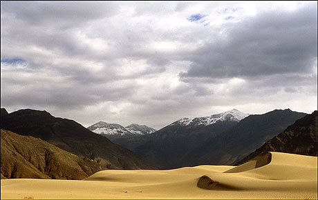 Dunes Dunes