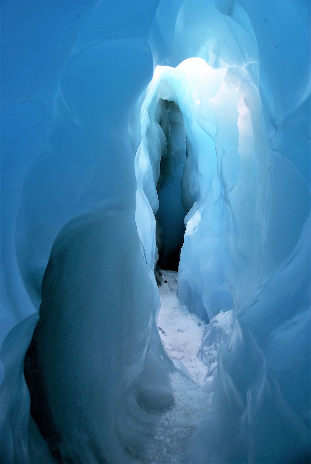 Nouvelle Zélande Fox Glacier