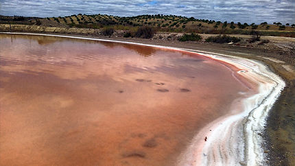 Les collines de Castro Marim