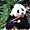 Gentil panda