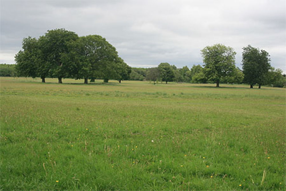 Parc de Castletown