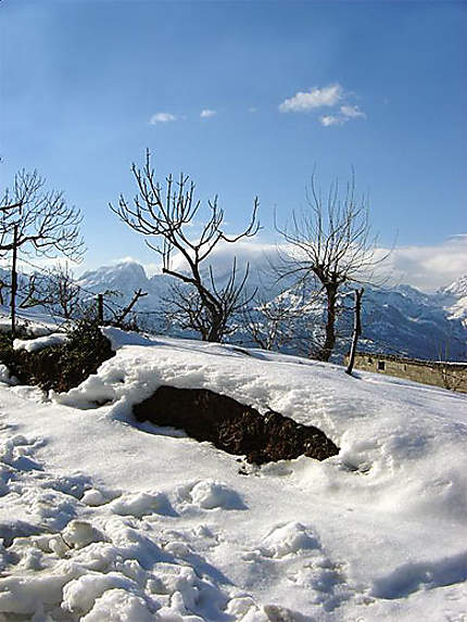 Neige à Beni-Yenni