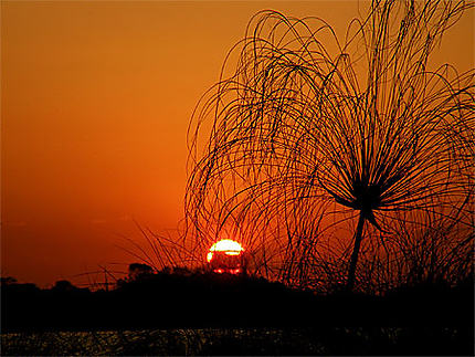 Coucher de soleil sur le Lac Tana