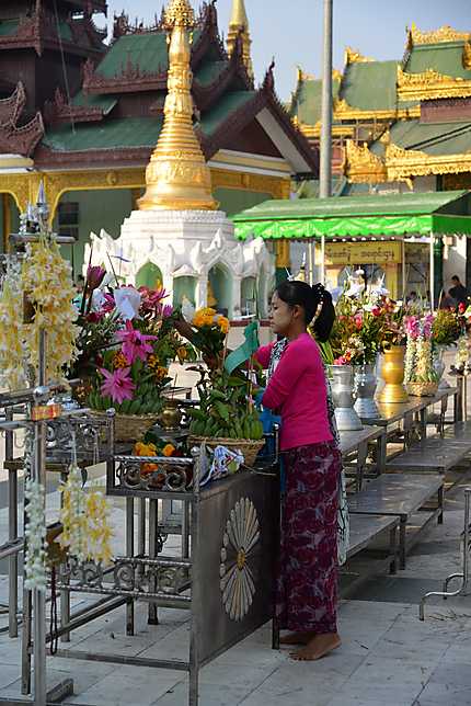 Offrande pagode Shwedagon