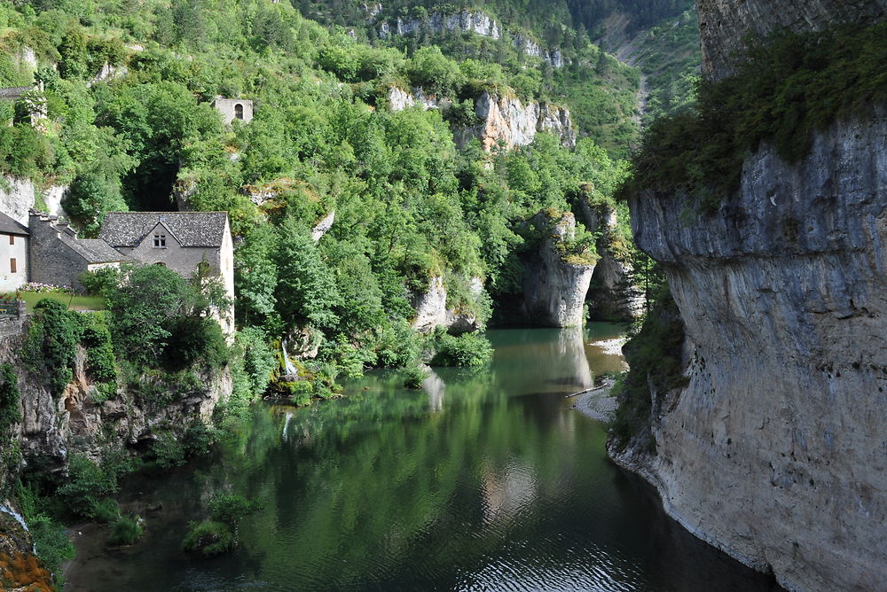 Les gorges du Tarn